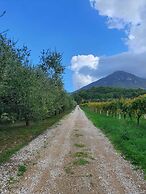 Unique Countryside Loft Room, Near Naples