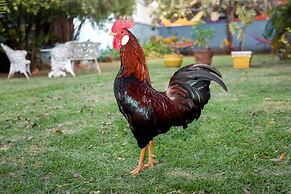 Pousada Céu de Estrelas