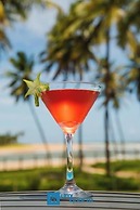 Ponta de Inhambupe Residences