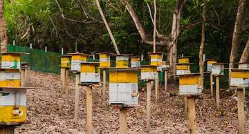 Ponta de Inhambupe Residences