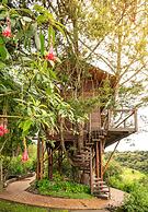 La Gloria Reserva Forestal