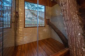 La Gloria Reserva Forestal