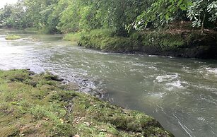 TERATAI BIRU RIVER CAMPING GROUND