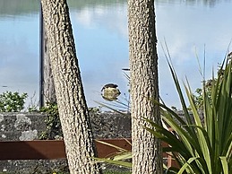 Seaview Cottage on the Island