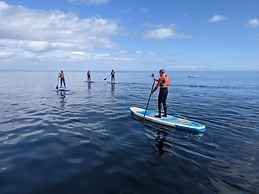 Seaview Cottage on the Island