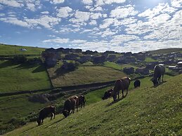 Migroras Otel & Restaurant - Karestel Yaylasi