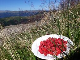 Migroras Otel & Restaurant - Karestel Yaylasi