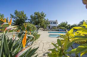 Villa Xenios Dias in Argaka