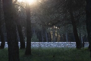 DONNAPAOLA MODERN FARM