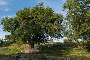 DONNAPAOLA MODERN FARM