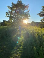 Brand New Basement Apt next to Beach & Go Train