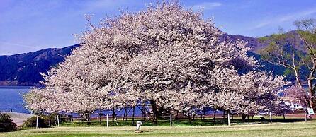 Trip7 Hakone Sengokuhara Onsen Hotel