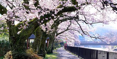 Trip7 Hakone Sengokuhara Onsen Hotel