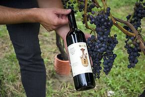 Brand New Apartment In The Heart Of Lugano City 10