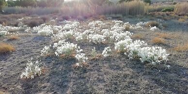 Villa With Sea View Swimming Pool