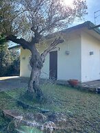 Beautiful Villa With Large Outdoor in Isola Albarella