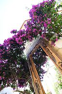 Yukari Sokak VIP Butik Otel