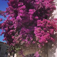 Yukari Sokak VIP Butik Otel