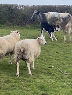 Beautiful 2 Bed Bungalow in Laugharne Situated