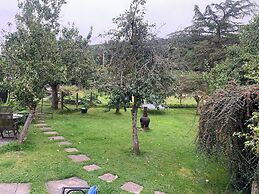 Stunning 2-bed Cabin in Nantglyn Denbigh