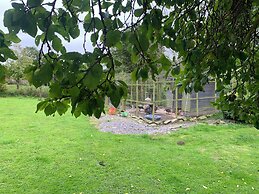 Stunning 2-bed Cabin in Nantglyn Denbigh