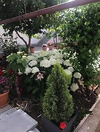 Apartments Villa Tanja