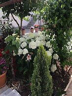 Apartments Villa Tanja