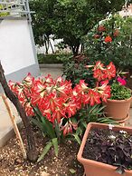 Apartments Villa Tanja