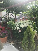 Apartments Villa Tanja