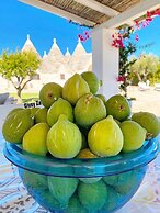 Apartments Villa Tanja