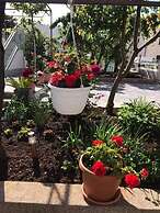 Apartments Villa Tanja