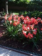 Apartments Villa Tanja