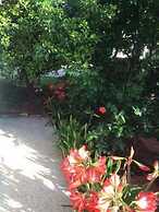 Apartments Villa Tanja