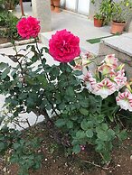 Apartments Villa Sarajevo