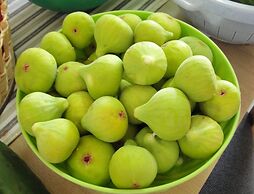 Apartments Villa Sarajevo