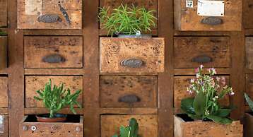 Hotel B&B Montecarlo