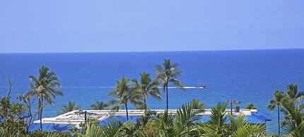 Garden View Studio - Kona Islander Inn Condos Condo by RedAwning