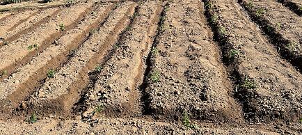 Eco Studio Flat Kalyvia Thorikou, Greece