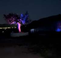 Eco Studio Flat Kalyvia Thorikou, Greece