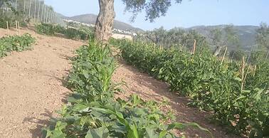 Eco Studio Flat Kalyvia Thorikou, Greece