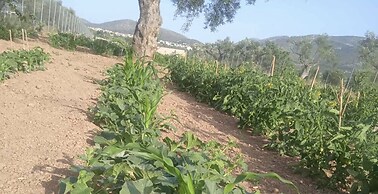 Ecological Studio Flat in Kalyvia Thorikou, Greece