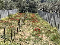 Ecological Studio Flat in Kalyvia Thorikou, Greece