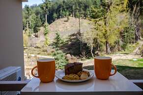 Anand Vardhan Resorts