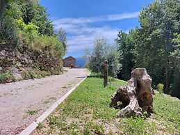 Quinta da Roda - Nature and Wellness