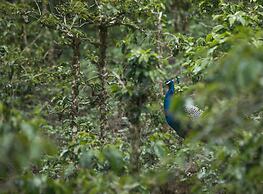 Mistly Plantation Bungalow