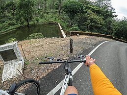 Mistly Plantation Bungalow