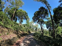 Mistly Plantation Bungalow