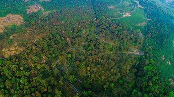 Mistly Plantation Bungalow
