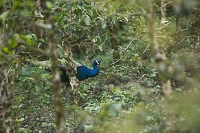 Mistly Plantation Bungalow