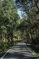 Mistly Plantation Bungalow